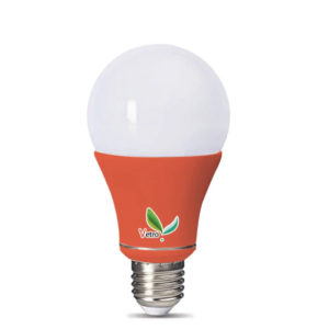 9W Vitro Red Bulb