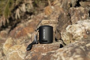 Sony Wireless Portable Speaker with Black Bass