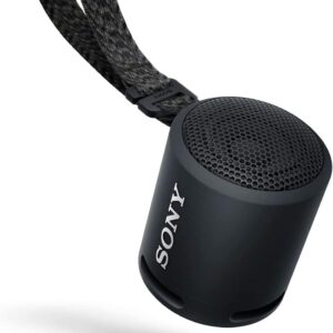 Sony Wireless Portable Speaker with Black Bass