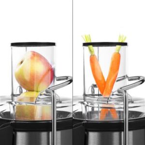 Princesse 800W Two-Speed Fruit Juicer