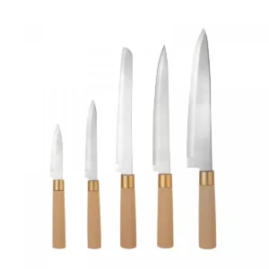 كاراجا طقم سكاكين بيرش 6 قطع بيج