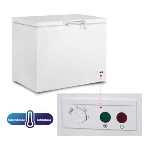 SIMFER 305-Liter Horizontal Freezer