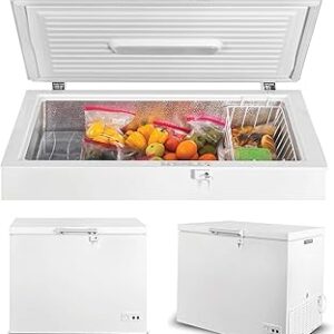 SIMFER 305-Liter Horizontal Freezer