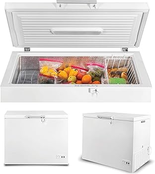 305-Liter Horizontal Freezer SIMFER 305-Liter Horizontal Freezer